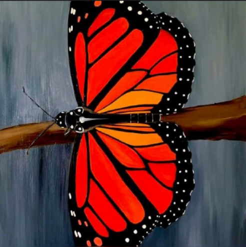 Tiroteio no Brasil😨