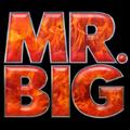 Mr. Big