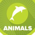 ANIMALS TV.