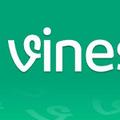 Vine Best Fun
