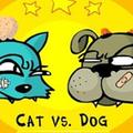 Cats VS Dogs
