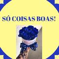 SÓ COISAS BOAS!