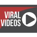 viral videos