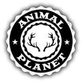 Animal Planet