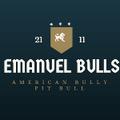 Emanuel Bulls