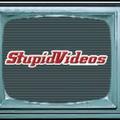 Stupid videos