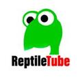 reptiletube
