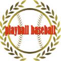 playball baseball