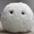 もふもふの塊？