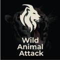 wild life animals