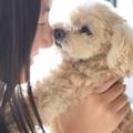 犬に癒されたい