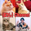 《あつし》Channel