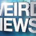 Weird News