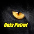 Cats patrol