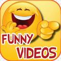 Daily Funny Videos