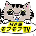 招き猫へそ天TV相互フォロー